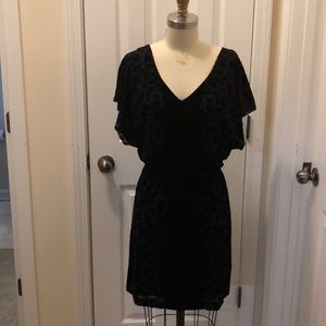 White House Black Market black velvet dress!